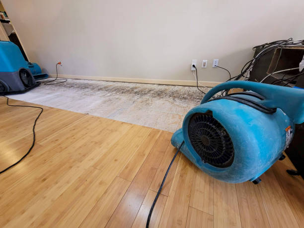 Professional Structural Drying technician working in Gurnee, IL